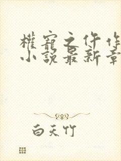 权宠之仵作医妃小说最新章节列表