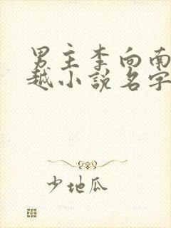 男主李向南的穿越小说名字