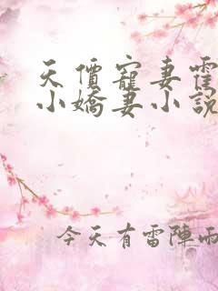 天价宠妻霍总的小娇妻小说免费读