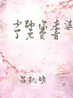 少帅你老婆又跑了免费看