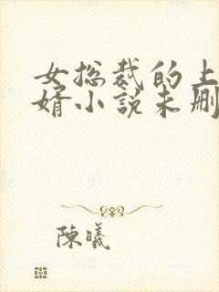 女总裁的上门女婿小说未删版