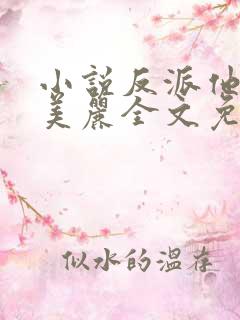 小说反派他过分美丽全文免费阅读