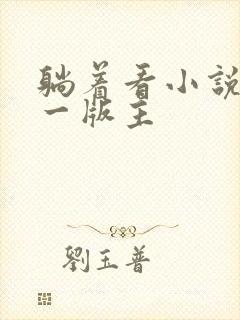 躺着看小说网第一版主