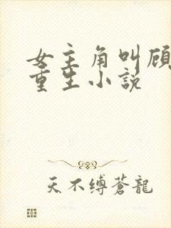 女主角叫顾清欢重生小说