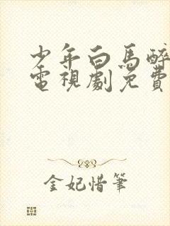 少年白马醉春风电视剧免费观看完