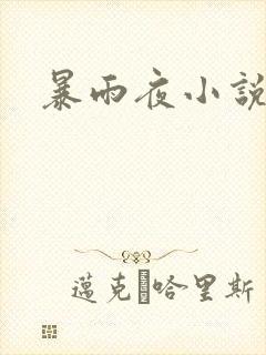暴雨夜小说
