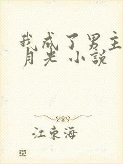 我成了男主的白月光 小说
