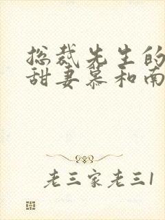 总裁先生的闪婚甜妻慕和南