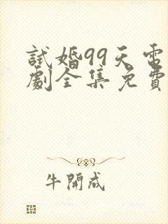试婚99天电视剧全集免费观看