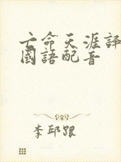 亡命天涯译制片国语配音