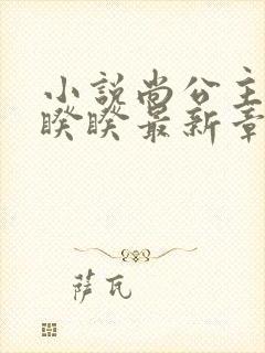 小说尚公主伊人睽睽最新章节目录