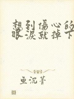 想到伤心的事情眼泪就掉下来