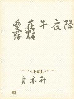 爱在午夜降临前露点