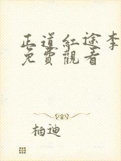 正道红途李初年免费观看