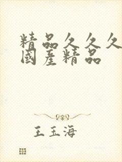 精品久久久久久国产精品