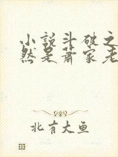 小说斗破之我居然是萧家老族长