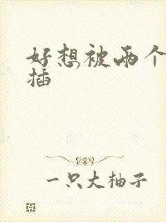 好想被两个男人插