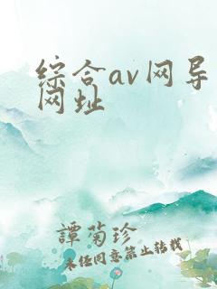 综合av网导航网址
