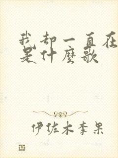 我却一直在等你是什么歌