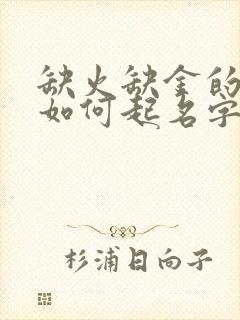 缺火缺金的女孩如何起名字