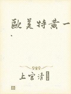 欧美特黄一级片.