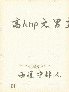 高hnp文男主
