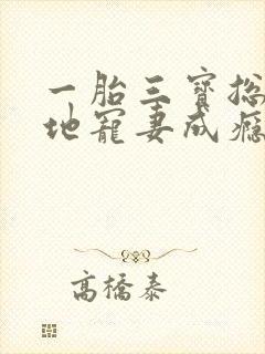 一胎三宝总裁爹地宠妻成瘾