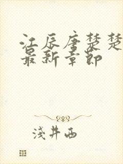 江辰唐楚楚结局最新章节