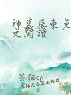 神墓辰东免费全文阅读