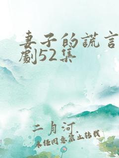 妻子的谎言电视剧52集