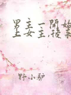 男主一开始看不上女主,后来打脸的小说