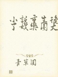 小说重生后我成了娱乐圈大佬