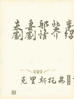 夫妻那些事电视剧剧情介绍