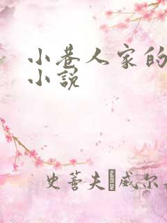 小巷人家的原著小说