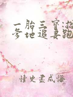 一胎三宝:总裁爹地追妻跑