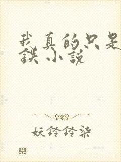 我真的只是想打铁 小说