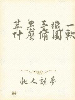 苹果手机一般用什么修图软件