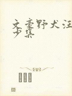 文豪野犬汪有多少集