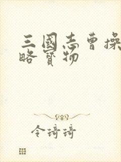 三国志曹操传攻略宝物