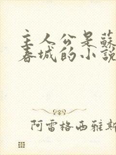 主人公是苏媚赵春城的小说