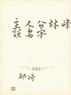 主人公林峰的小说名字