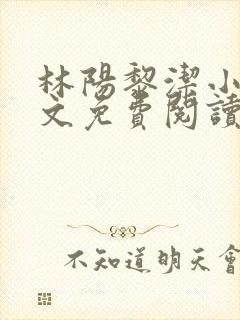 林阳黎洁小说全文免费阅读最新章节