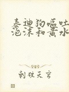 泰迪狗呕吐白色泡沫和黄水