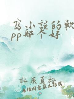 写小说的软件app哪个好