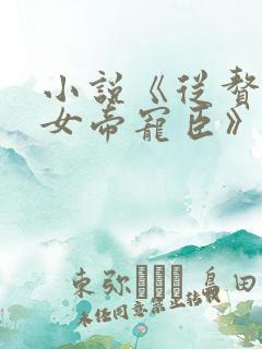 小说《从赘婿到女帝宠臣》