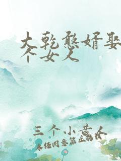 大乾憨婿娶了几个女人