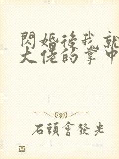 闪婚后我就成了大佬的掌中之物