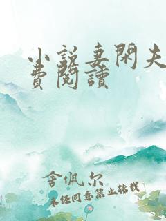 小说妻闲夫贵免费阅读