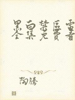 黑白禁区电视剧全集免费看