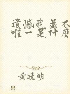 遗憾我并不是你唯一是什么歌